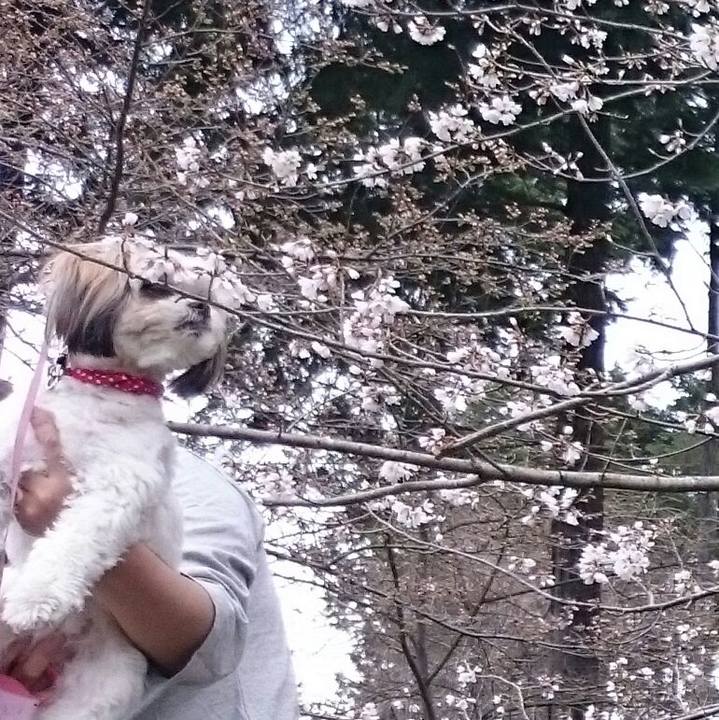 B35d6437 300a 4df5 b820 0644aaafd7d2