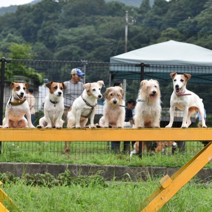 B35db0d9 5a06 43fc a351 d723b223d61c