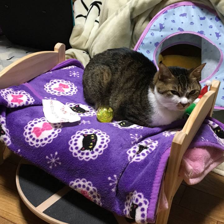 B35e2c6d a1e3 40c1 a975 3f94bada6a4c