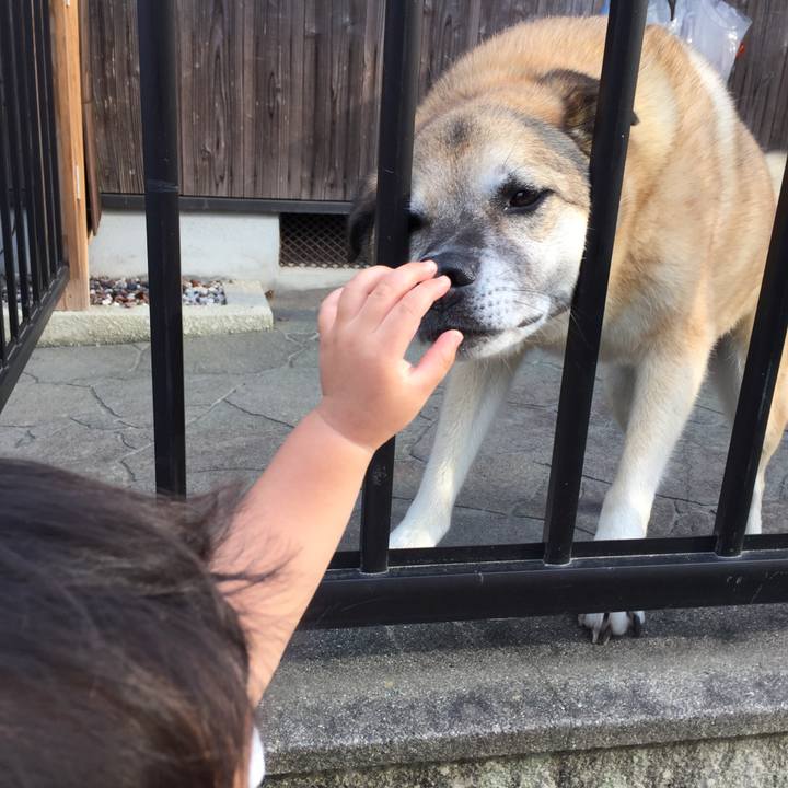 B35e3b77 211e 4637 86e9 49846f82e6e2