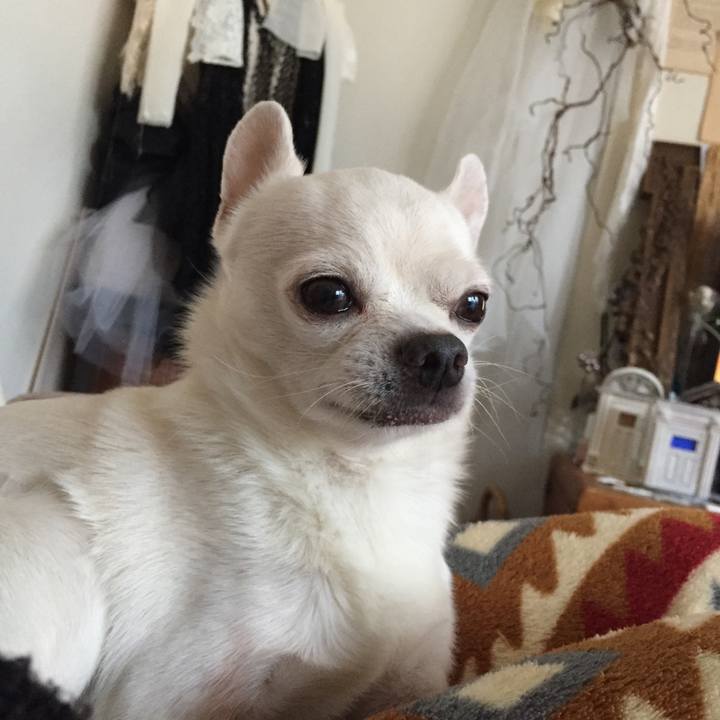 B35e53d7 109f 4aa0 9ea3 0b202a667e4e