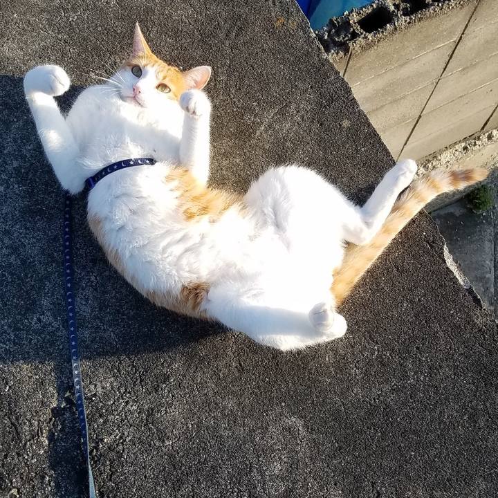 B35ea61d 3d52 4d66 8cd3 f330c50da194