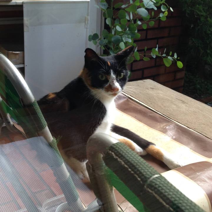 B35f02bb 234b 4aa1 9d3f 1bc9f4731e01