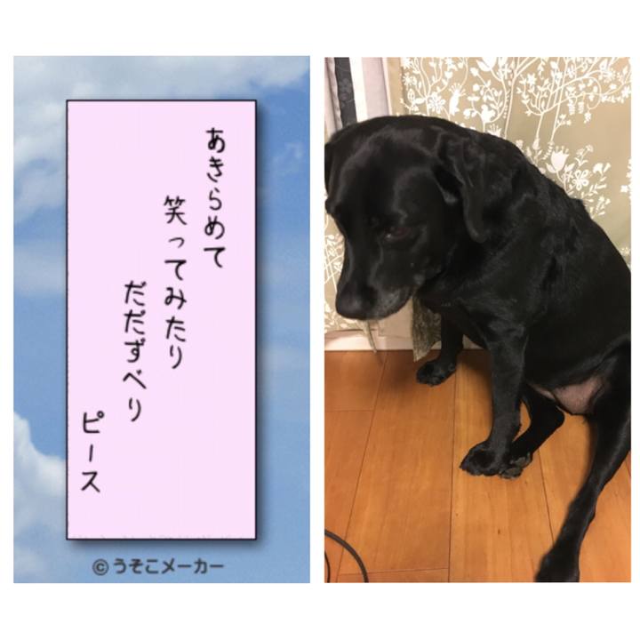 B35f679d 6427 4741 b602 5a25526fec25