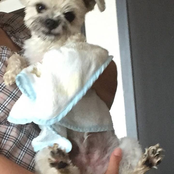 B35fbc2f 5133 4678 96c3 0f097dd52b4c