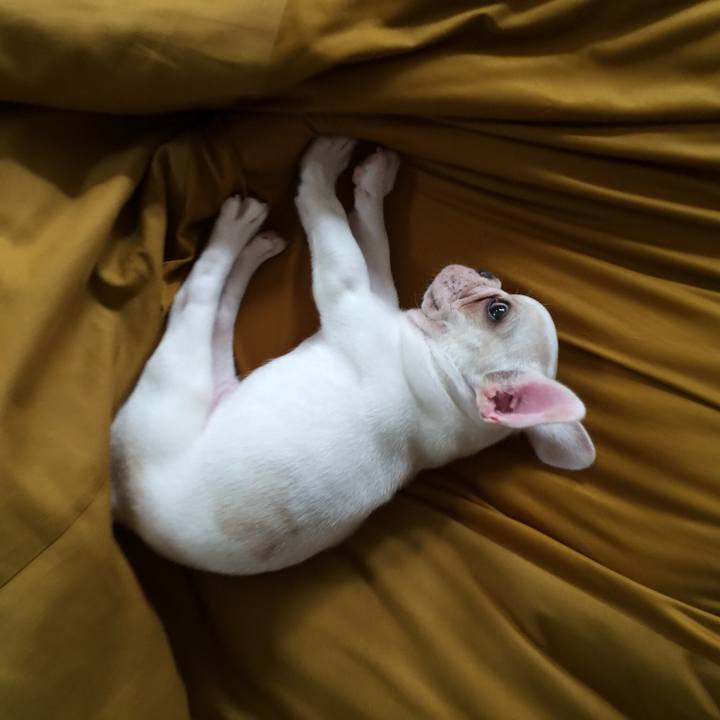 B36024d6 ed03 4330 b8d2 2211605dff83