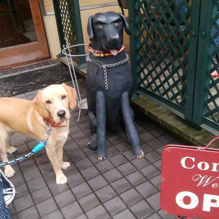 B360349e 7708 423d a310 1c543e69c6e3