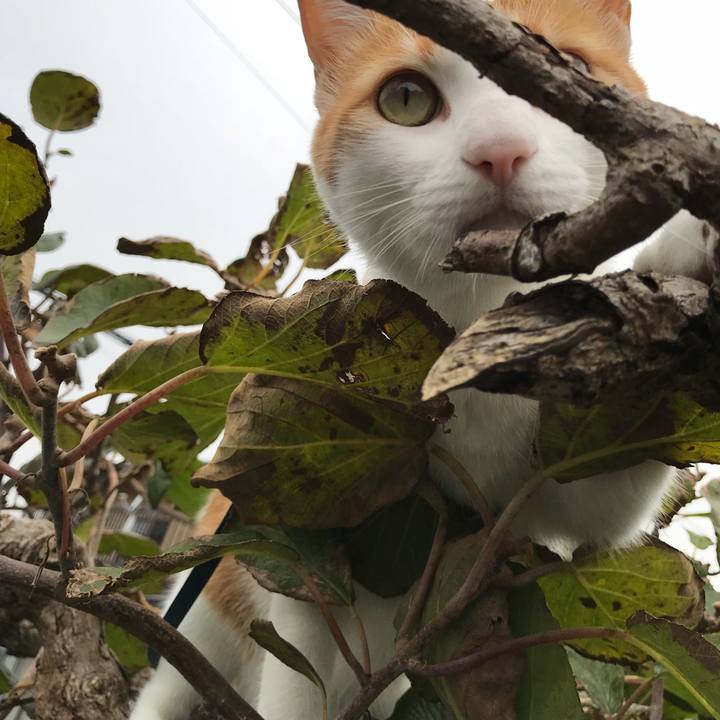 B36071f2 719d 4236 ab09 9241f3e2990a