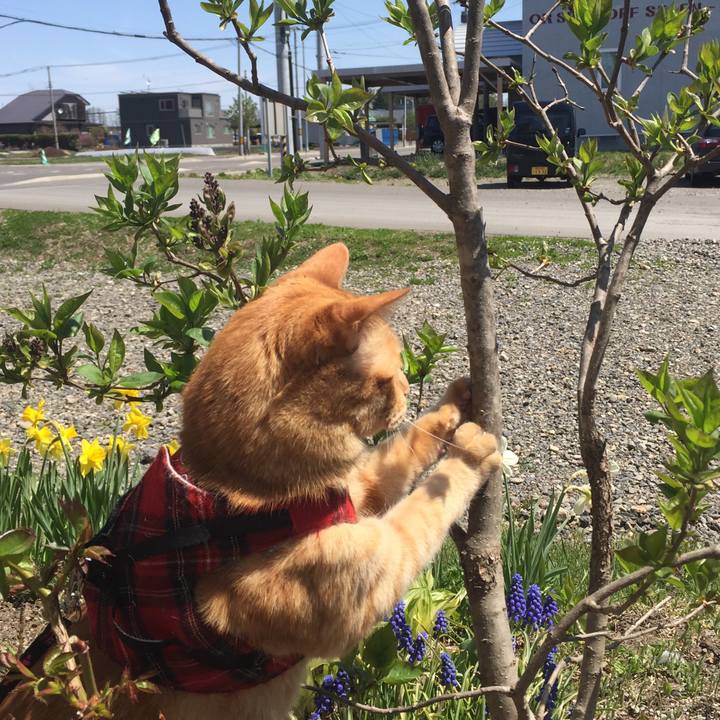 B36097f1 01a8 4dcd 80b0 c01021aa3fff