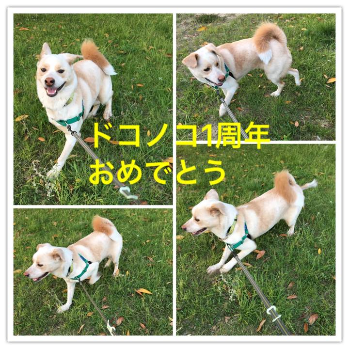 B3610250 86a9 4b1d 93f6 4da528e72b1b