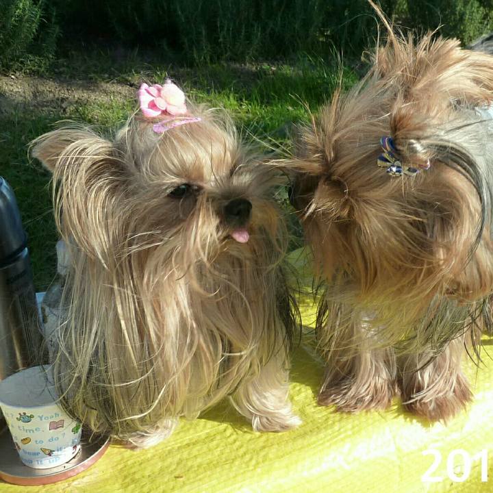 B3625d1c 2d34 4663 a48b 921fff4bb5db