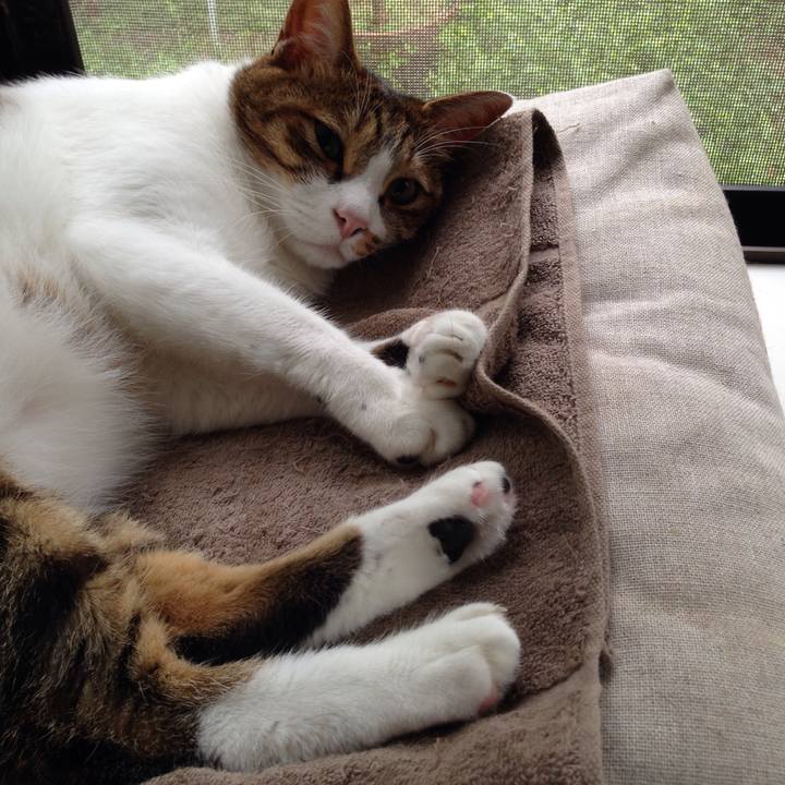 B36270bc a5ee 44dc 8b73 1b2a525a27c7