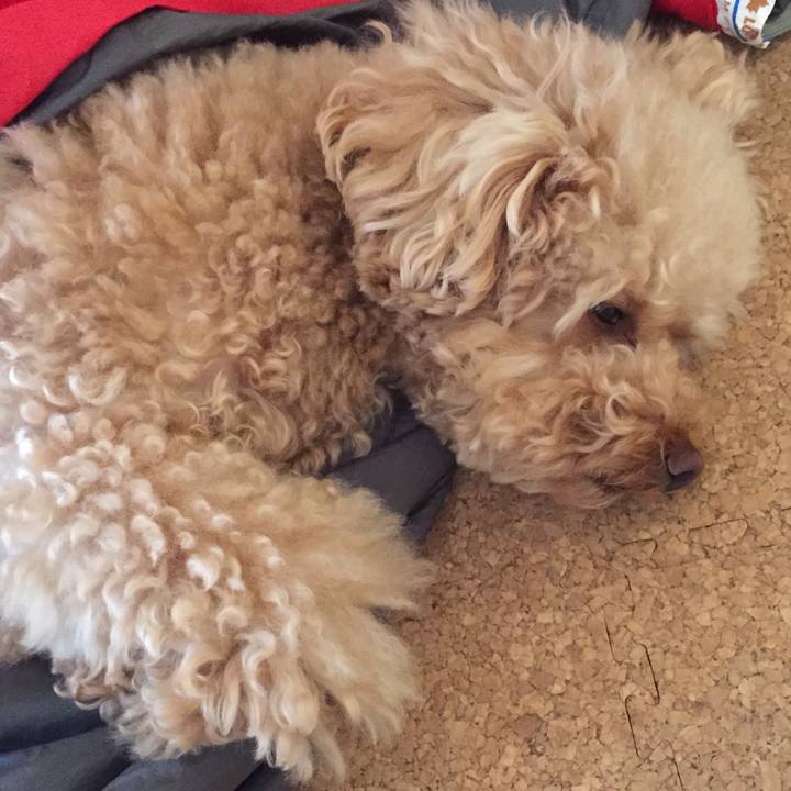 B36289ff 9a10 4dc4 ad8b edccbdb03331