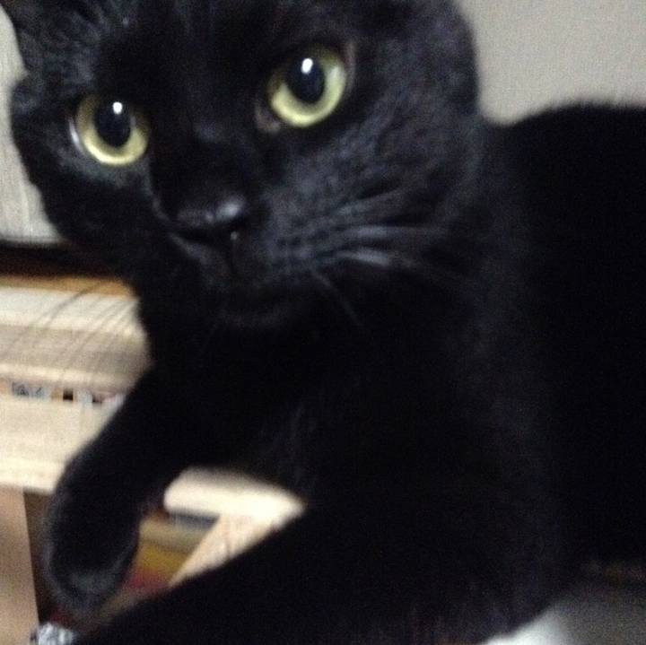 B3628bf4 ee93 4cbb b273 de37dd42df90