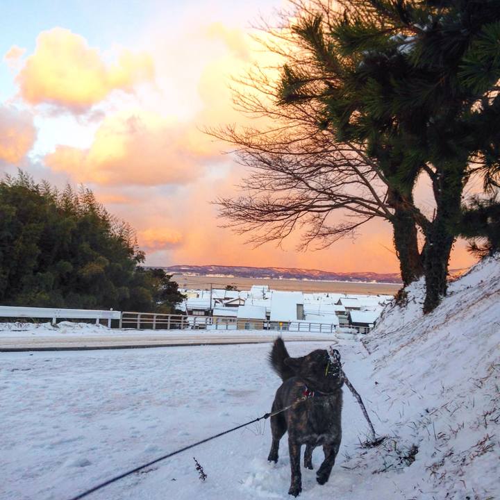 B362be20 f8fe 47a0 b473 e72a2eadefe3