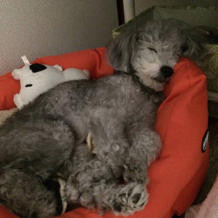 B3633c27 2534 4090 823d 03ef96552f62