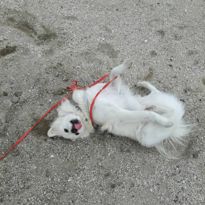 B3635b0f 56c2 4730 b81f 5304c4a7a786