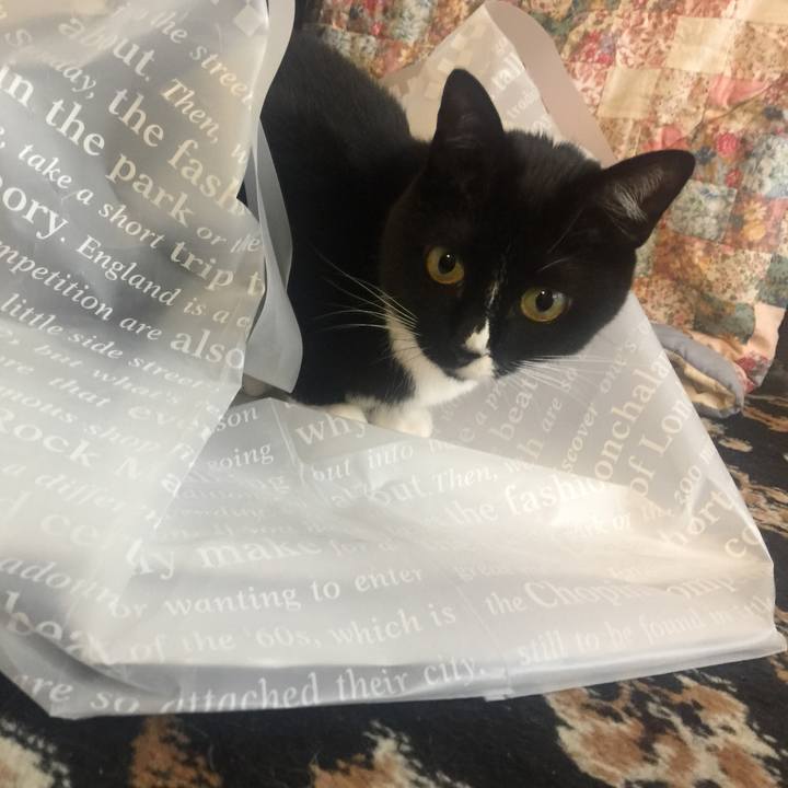 B36360f7 4594 44c5 8d48 4fde454903d8