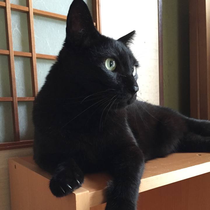 B3649015 4f83 49a2 9481 025aae56cfb5