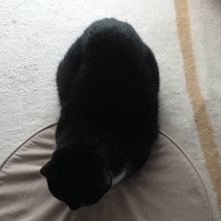 B36499ed 06b7 47ef 9b86 1a22091b2e0e