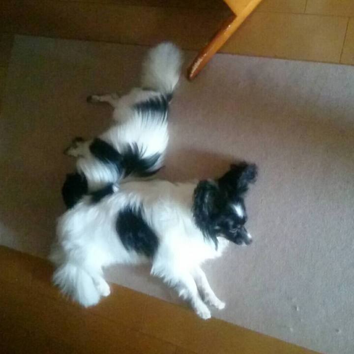 B36593ad 530a 4d11 9db8 87caffa32b10