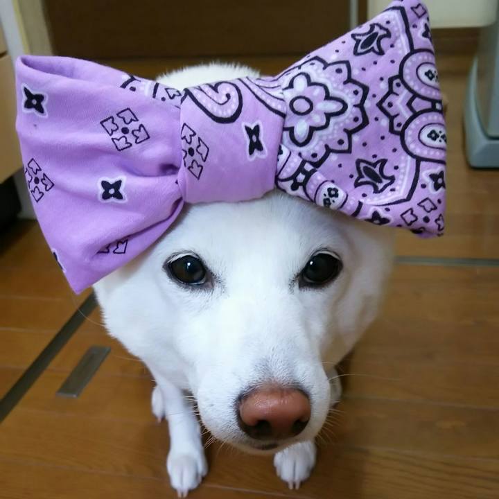 B365a8c5 ee30 4d85 bfcc 80ef1c4974f4