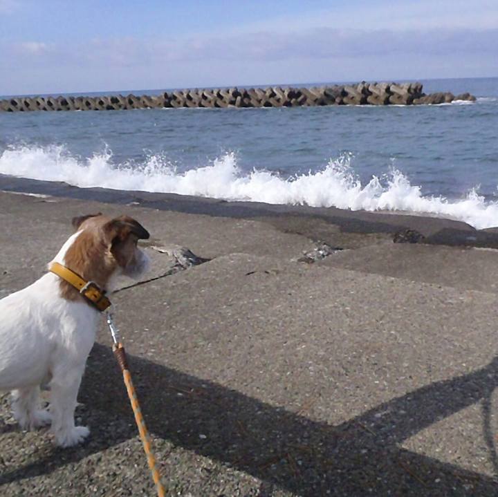 B365af84 6c03 4653 8fc2 02ee297811b5