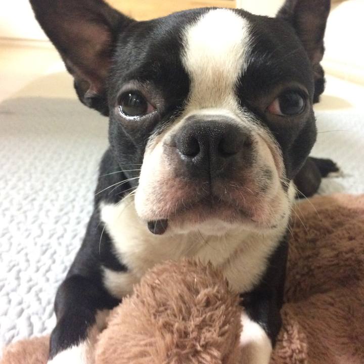 B36624cf 009d 47e2 a6dc 9dc0570b93f0