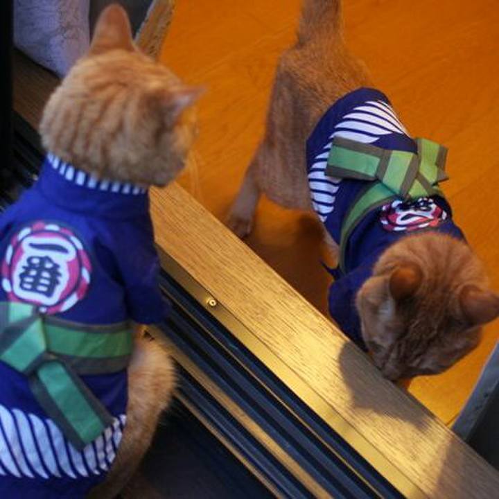 B3663a4c 240f 44f6 8263 13923ff1aedc