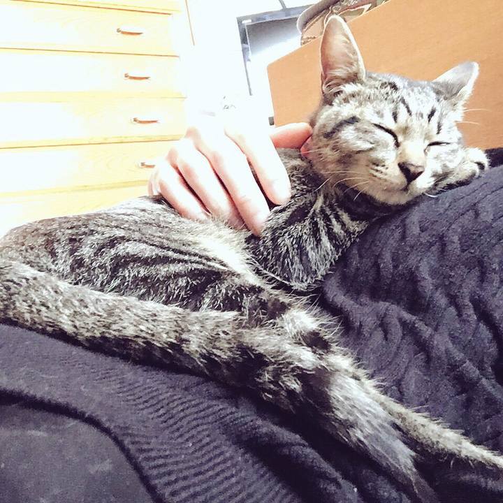 B36682cd 4ec2 4432 82cb 1245c8e0b871