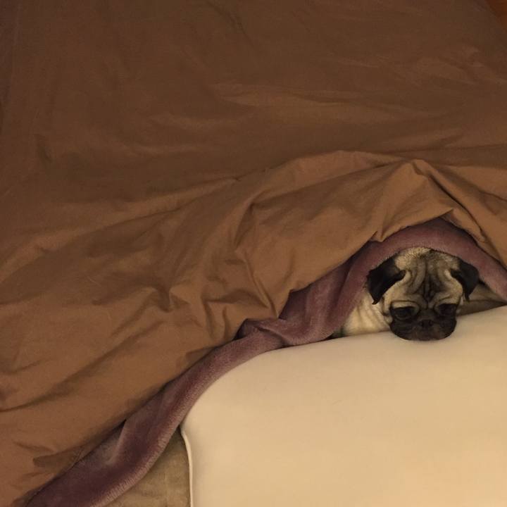 B366ab23 2c27 4ef1 b11e 093000904133