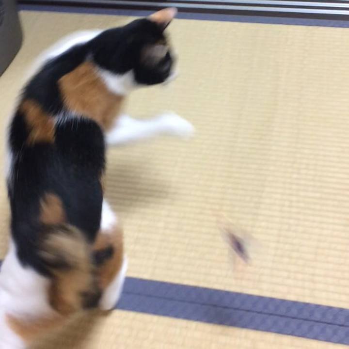 B366e178 bb84 4c9c 836d c7a661222f9c