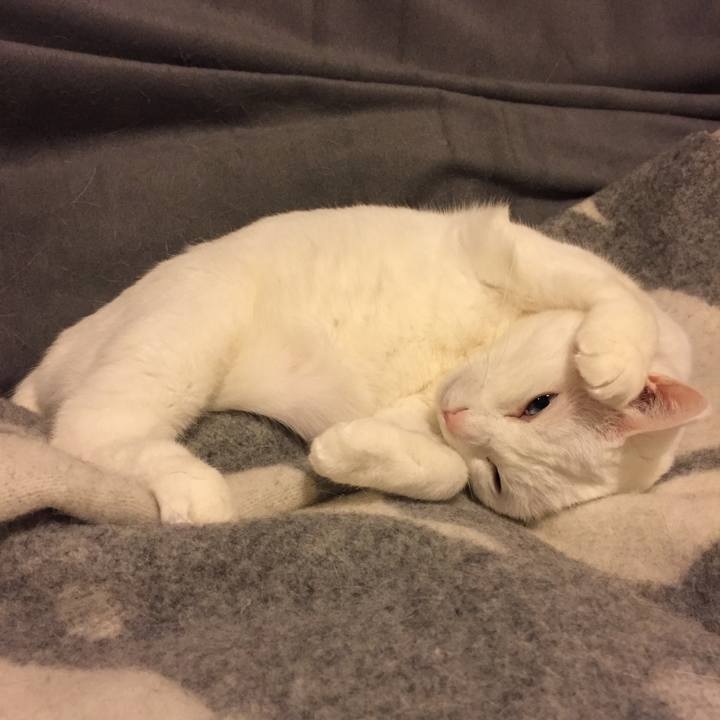 B367538e a8c8 4812 a02d c2a227b33188