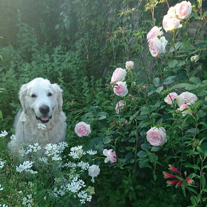 B368496c 8830 48d9 a08a 26c434a9bbff