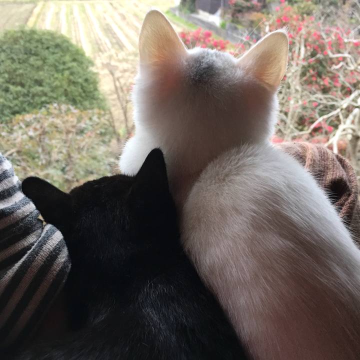 B368de54 0e6d 44c4 8c16 fd60013e43af