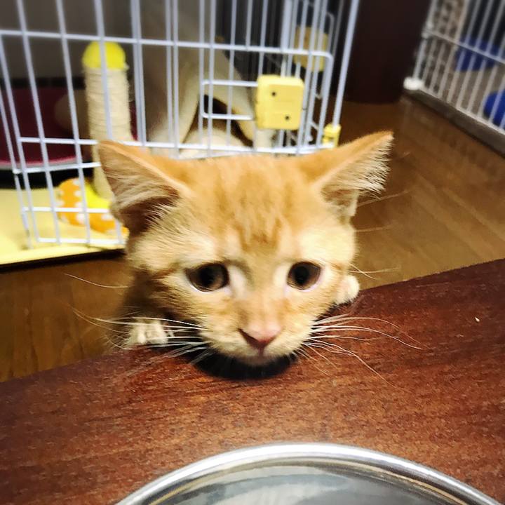 B368ea79 324e 4a3b 93ac 0ecf7096ce1c