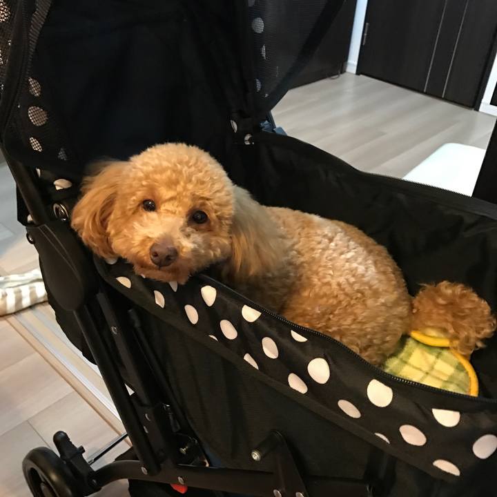 B369116f b0dc 40c1 af72 790dfef9b31f