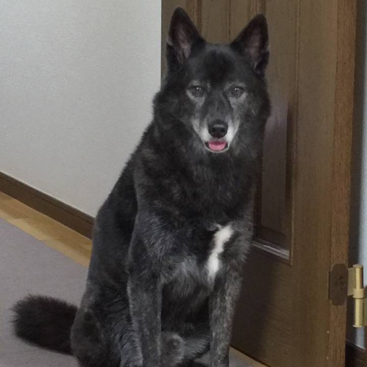 B36994ad cf36 4e5b 9a99 cd0f88e64ddf