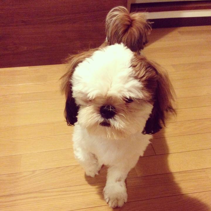 B369d439 abb7 4ef0 8be6 ac92534c5c74