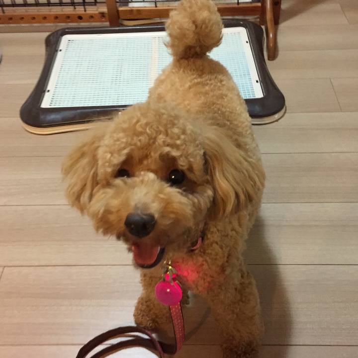 B36a2957 d92f 4e82 ba83 b47c4c89cea5