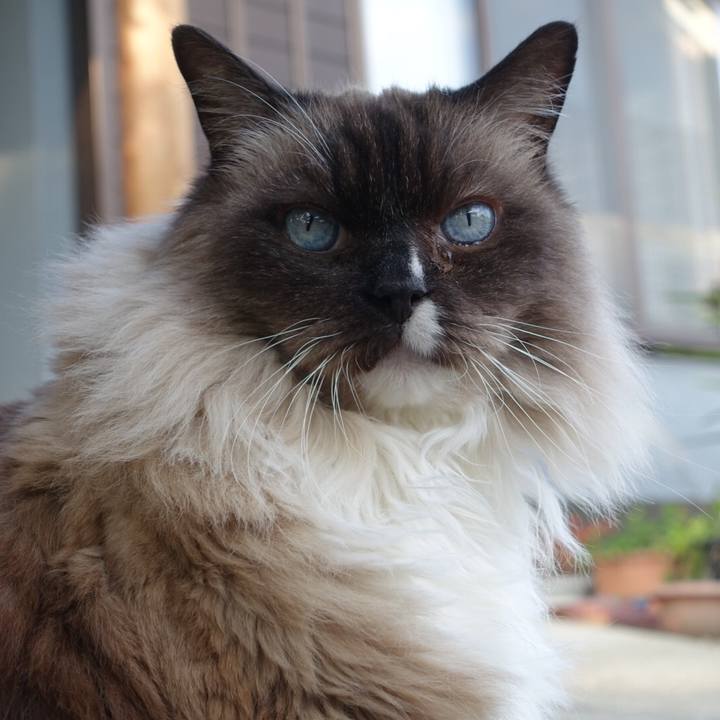 B36a58e1 4cad 4d30 8000 7368c22d0711