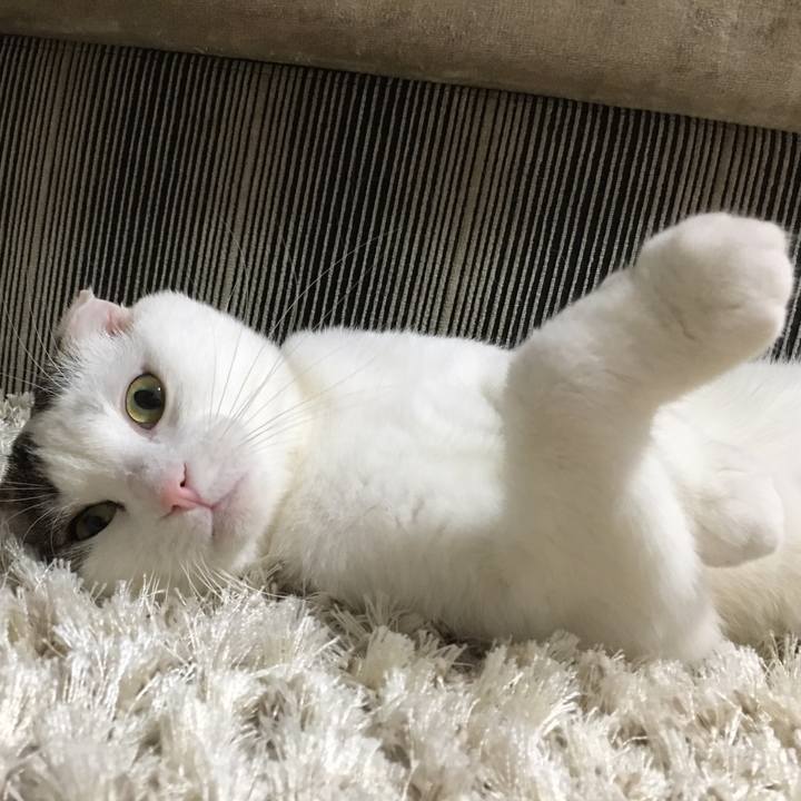 B36a945d 9101 499c 85a5 596a21898fd7