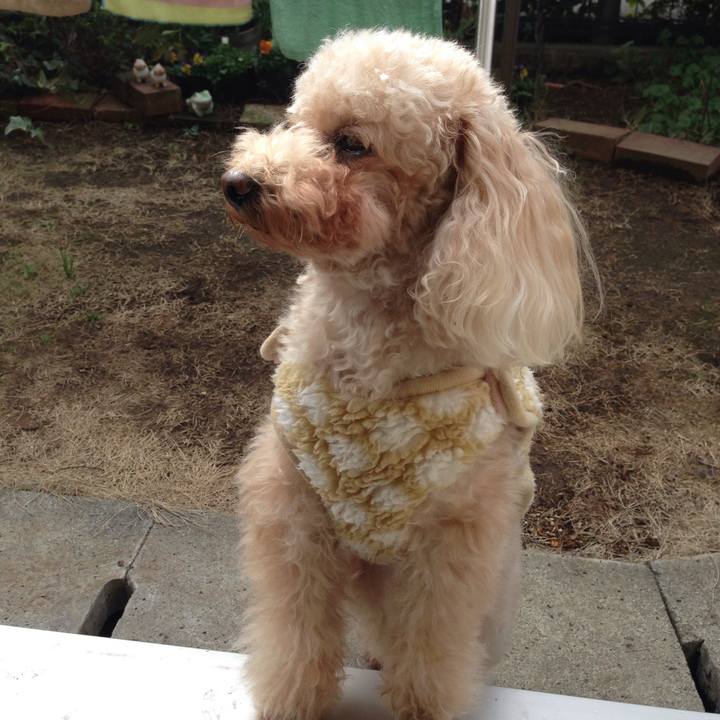 B36ab20c 78ff 4424 ba56 fba3d540f55b