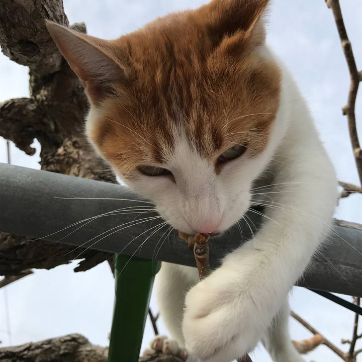 B36b2e94 78b5 4226 be55 1565c82a29d3