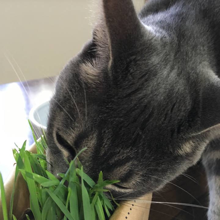 B36b5a73 700d 4bef 8749 6f1a7ede1bb8