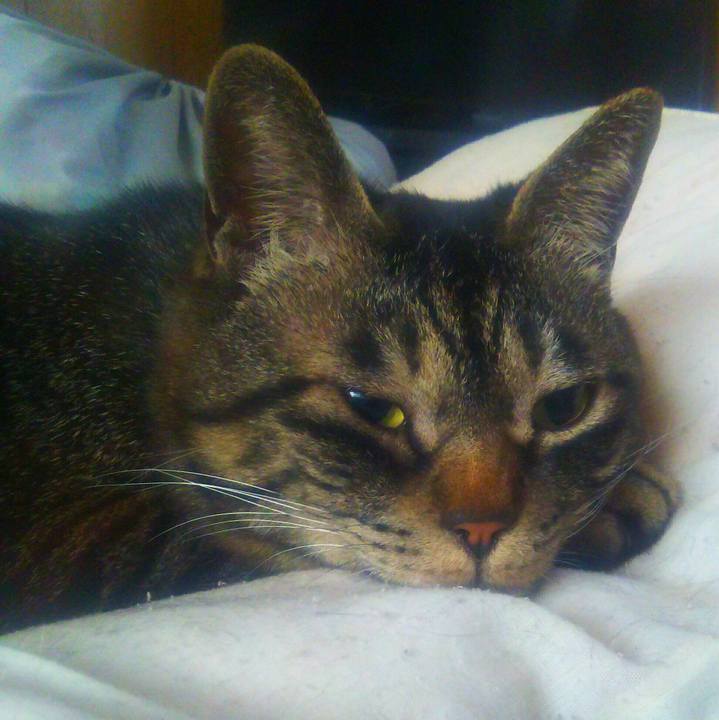 B36c29b5 3f51 45fa b1bb dd0bf2c1f78b