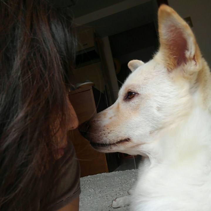 B36c35e0 4a35 4d15 ae46 2b551c04c9d9