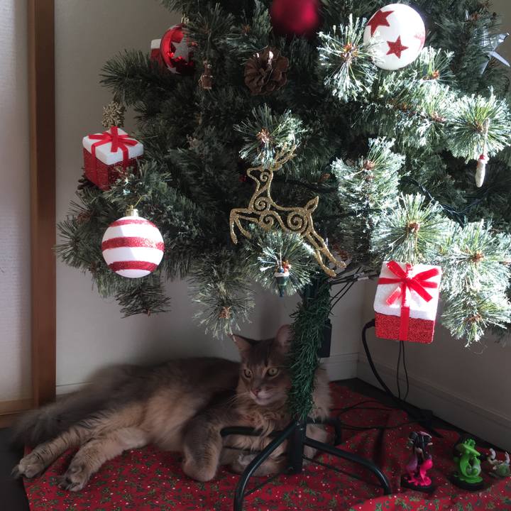 B36ce3de 0b00 41de bf2f afed7d5836f6