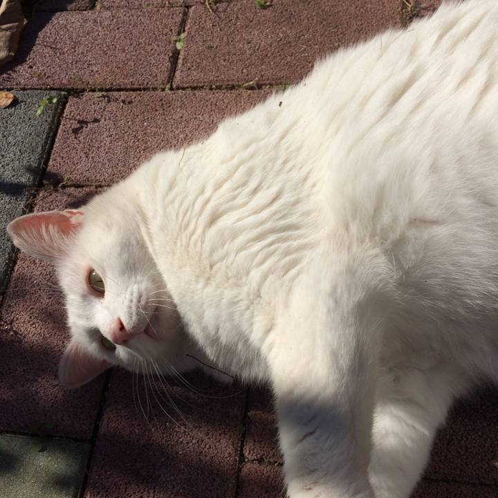 B36dc589 c087 49c3 814b 0d9699fb0a5e