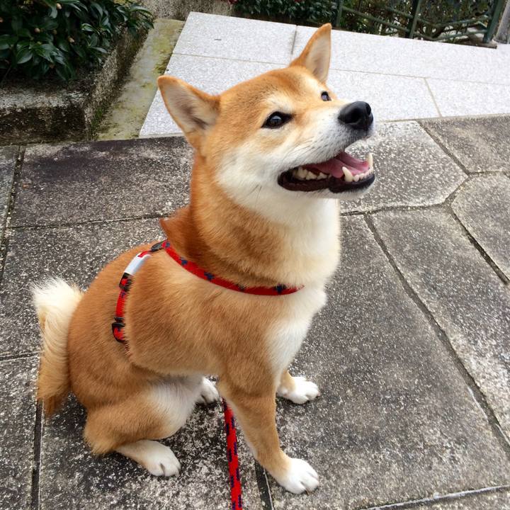 B36dc8f8 6c80 4fed a1d8 f2a0b9383f3f